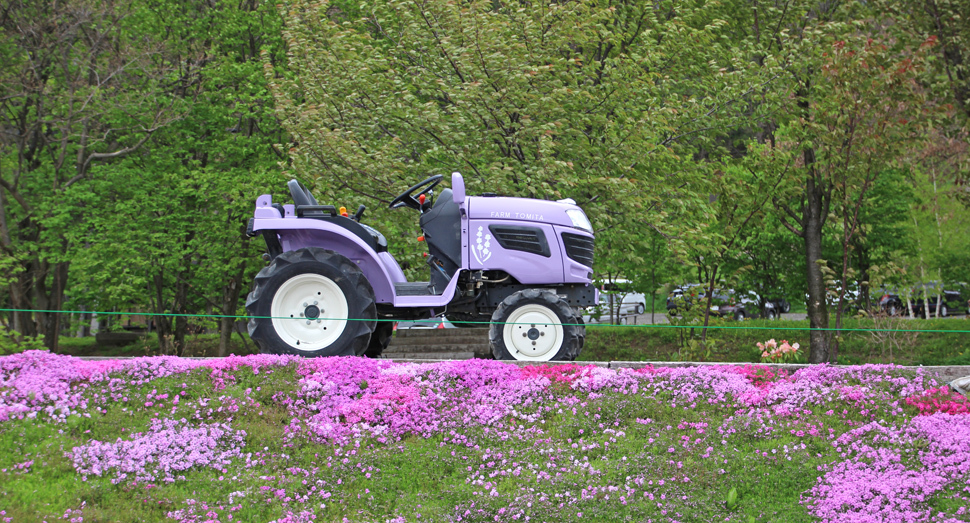 ミニトラクターと芝桜と一緒に「はい、ポーズ！」