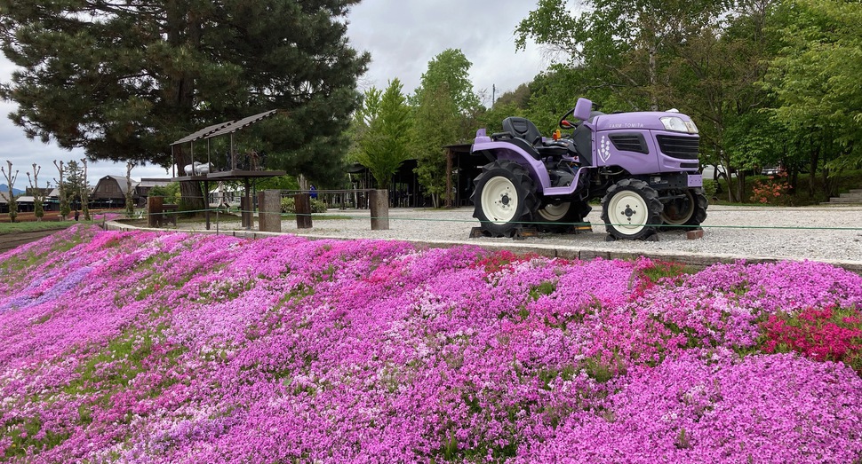 「芝桜」と「トラクター」