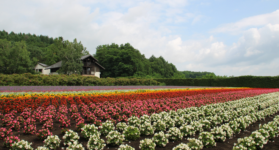 秋の彩りの畑と香水の舎