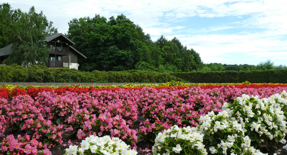 色とりどりの花が咲く「秋の彩りの畑」です