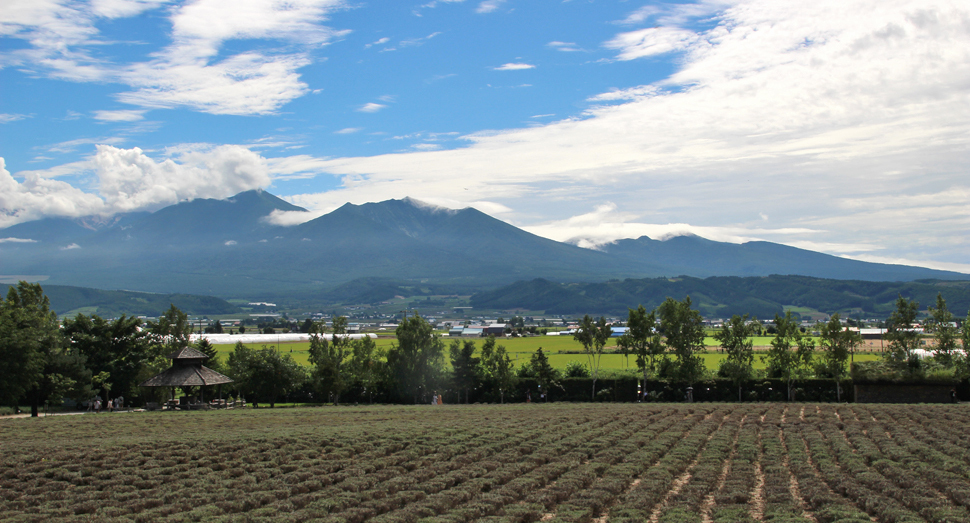 倖の畑と十勝岳連峰