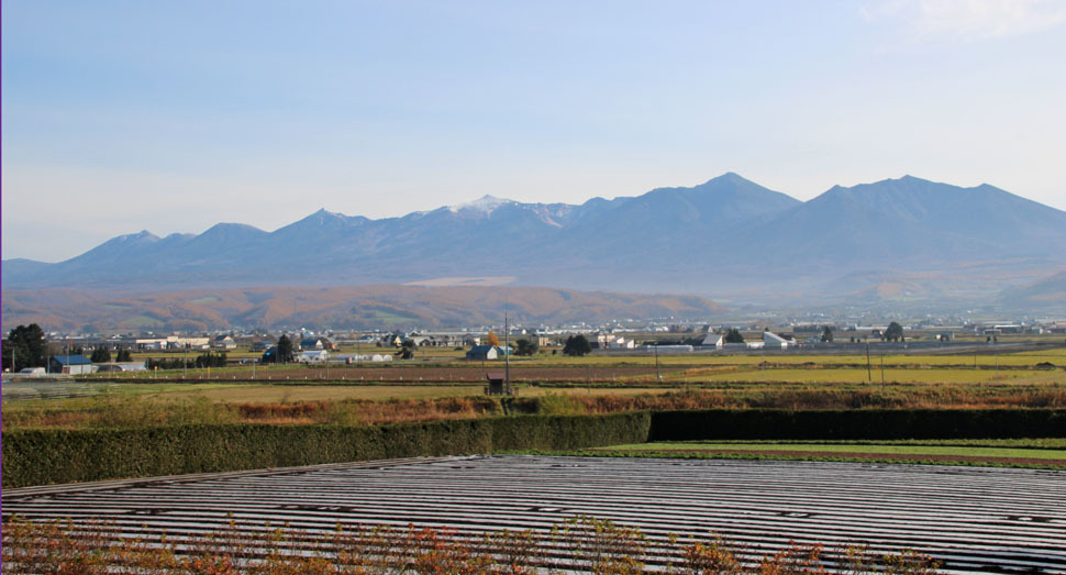 今日は十勝岳連峰もくっきり見えます