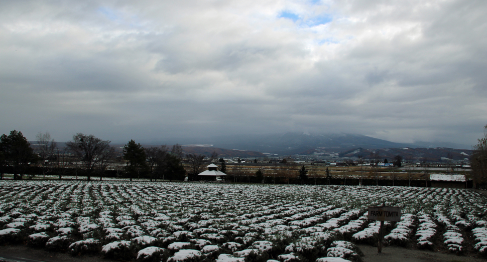 先日積もった雪が少し融けました。根雪になるのはまだ先でしょうか