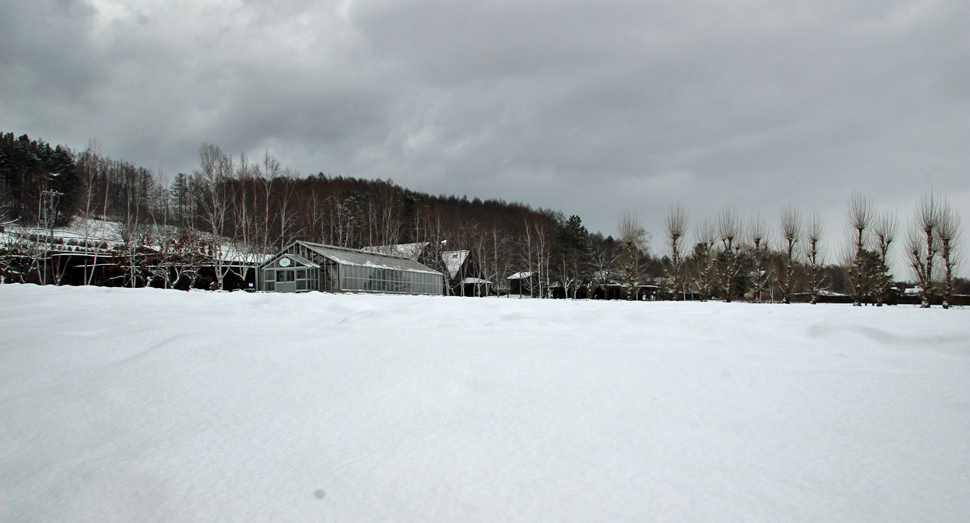 花人の畑も再び一面雪景色となりました