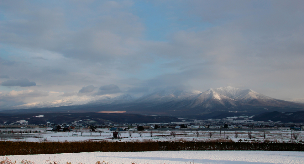西日が差す頃 | 園内案内 | 北海道のラベンダー畑「ファーム富田