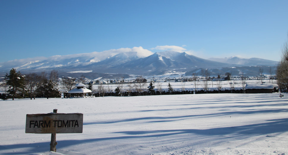 元旦は快晴でスタートです