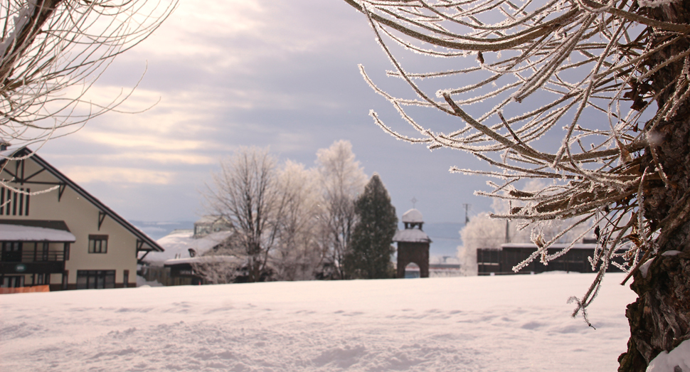 今朝はグッと冷え込み、樹々も枝先まで凍っています