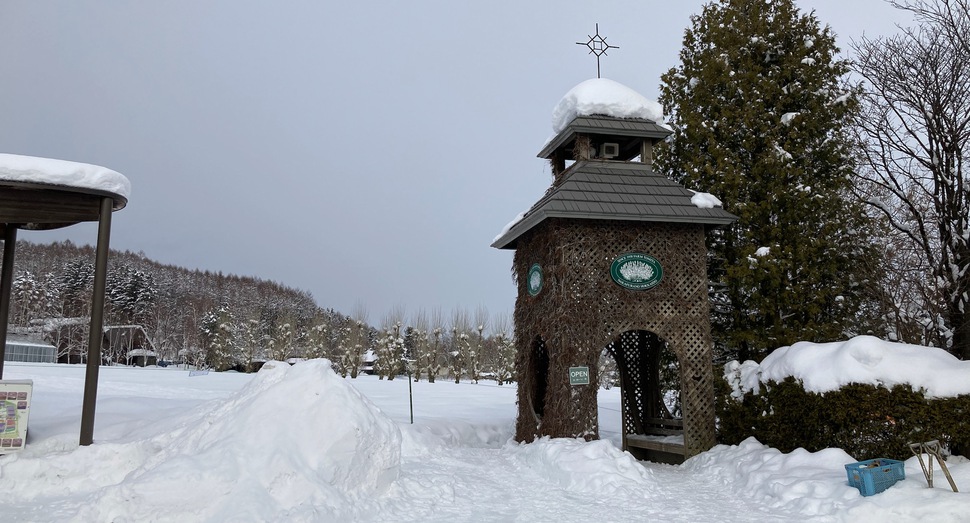 ゆきだるまの予定です