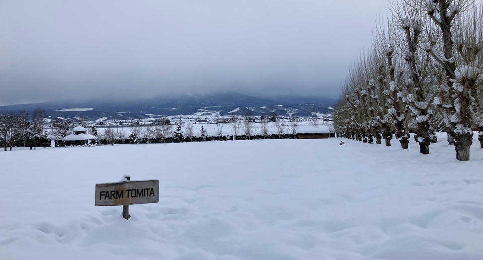 曇り空の倖の畑