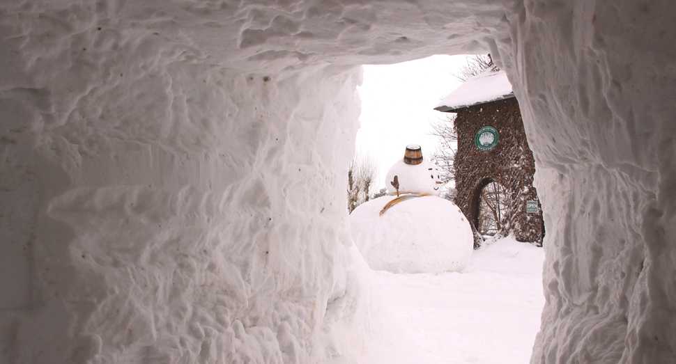 かまくらの中から見えているのは･･･