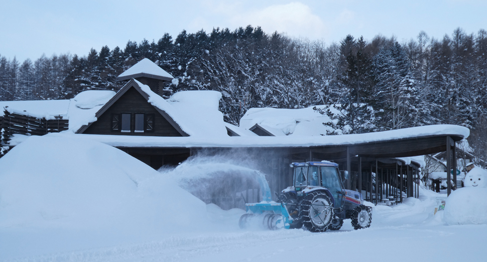 フィールドスタッフも除雪に大忙しです