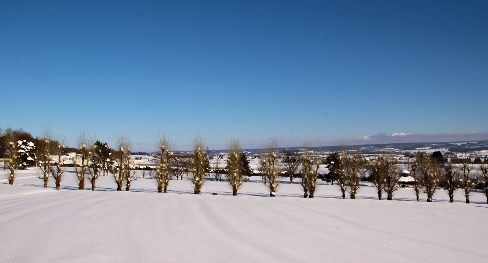 花の舎の展望デッキからの眺め