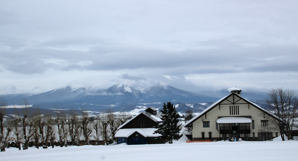 今日は一日曇り空のファームです