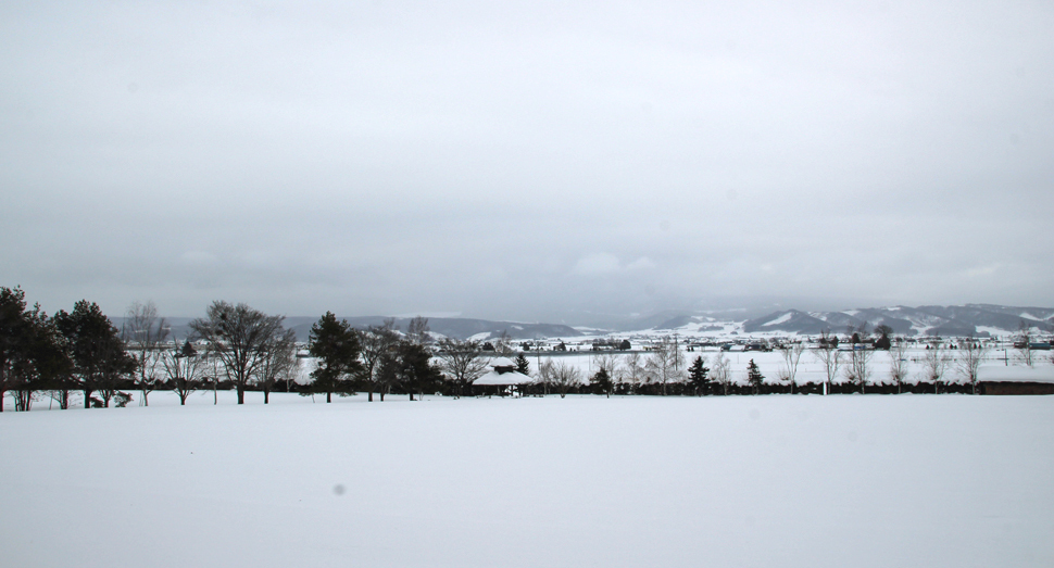 雪雲に覆われて少し暗い空です