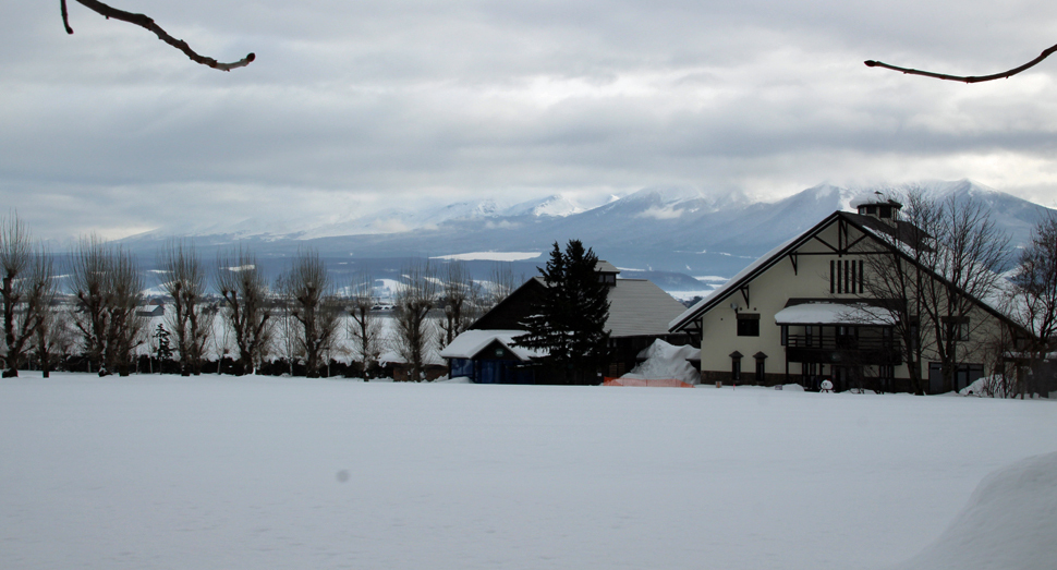 今日は曇り空ですが、いつもより寒さが和らいでいます