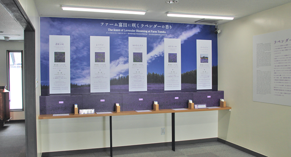 花人の舎2階は資料館や、ラベンダーの品種ごとの香りを体験できるコーナーがございます