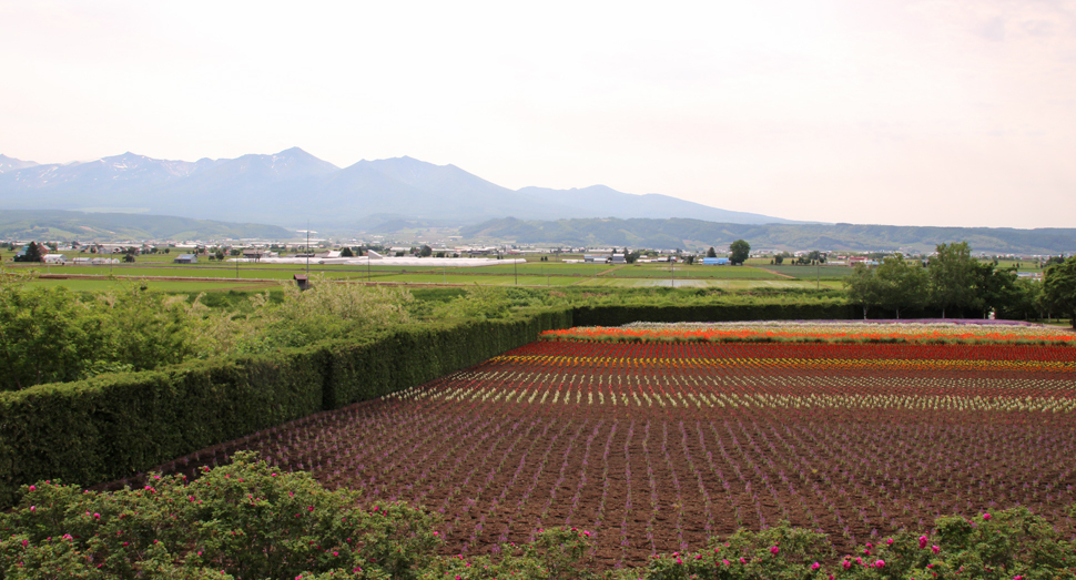 香水の舎の展望デッキからは秋の彩りの畑と十勝岳連峰を一望できます
