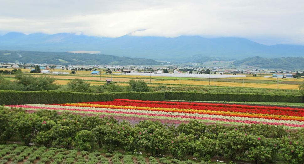 今日の十勝岳連峰は頭を隠しています