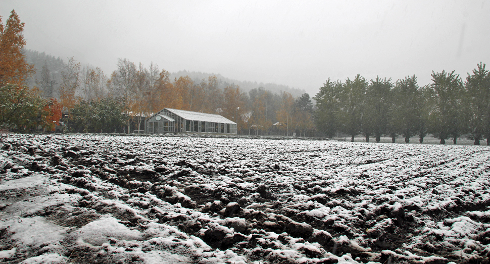 花人の畑にも初雪が積もりました