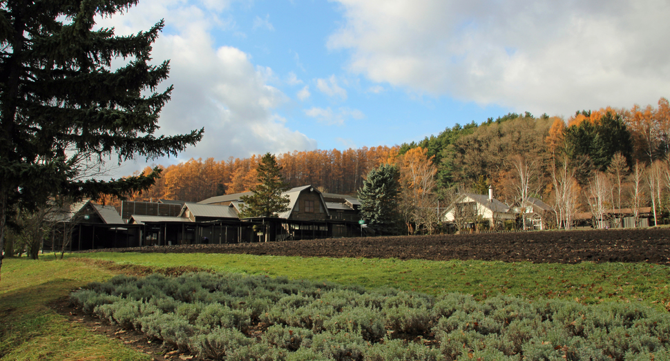 つかの間の晴れ間です