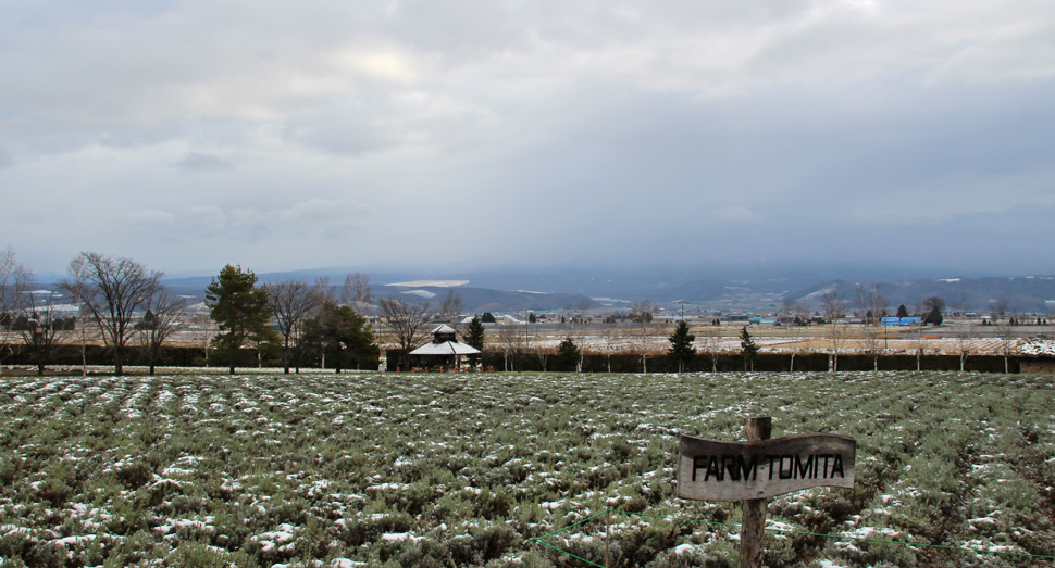 雪が降り積もっては融けてを繰り返しています