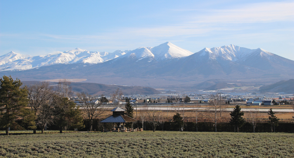 雪で覆われた十勝岳連峰は迫力満点です