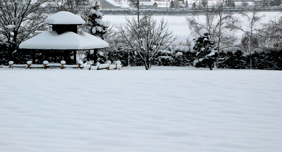 ラベンダー畑に積もった雪の凹凸が日に日に平らになってきます