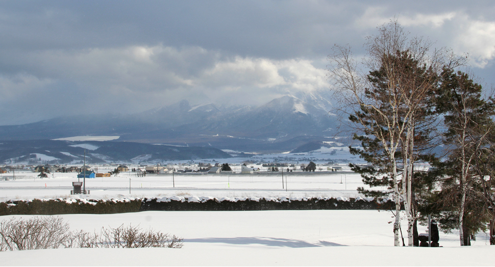 秋の彩りの畑と十勝岳連峰