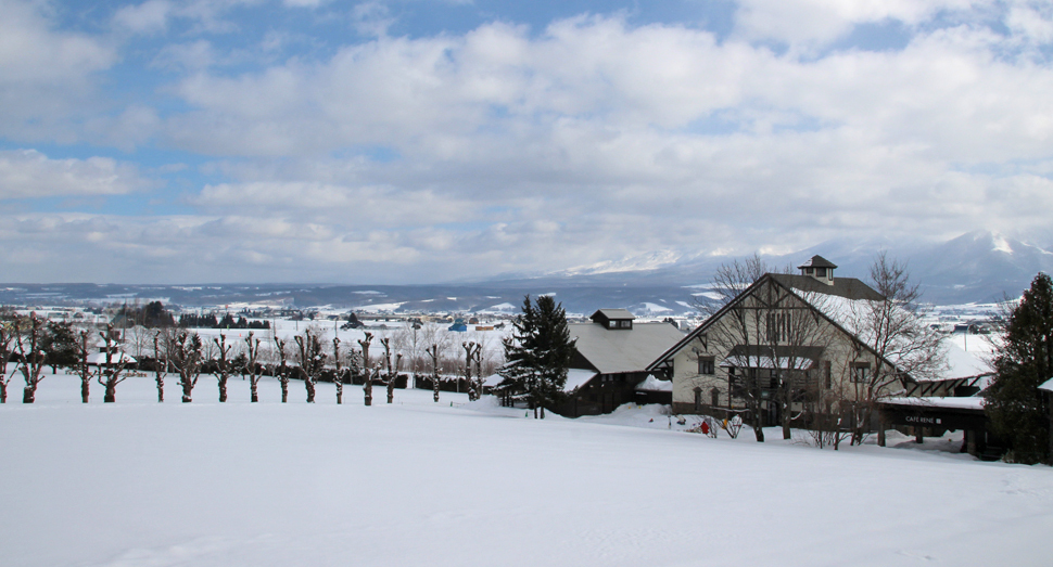 今日は風もなくおだやかな天気です