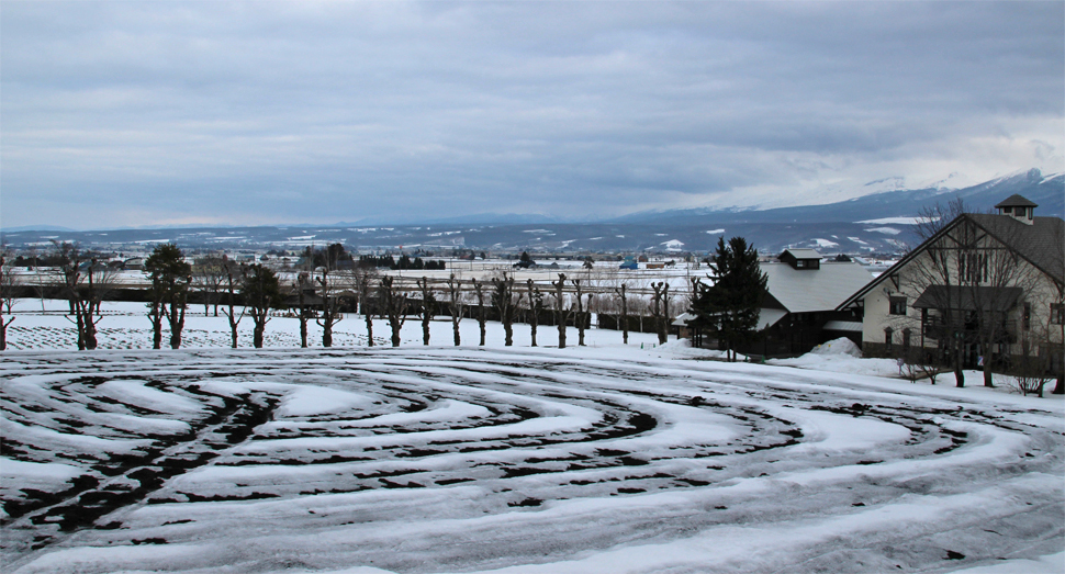 融雪剤をまいた箇所は土が見えてきました