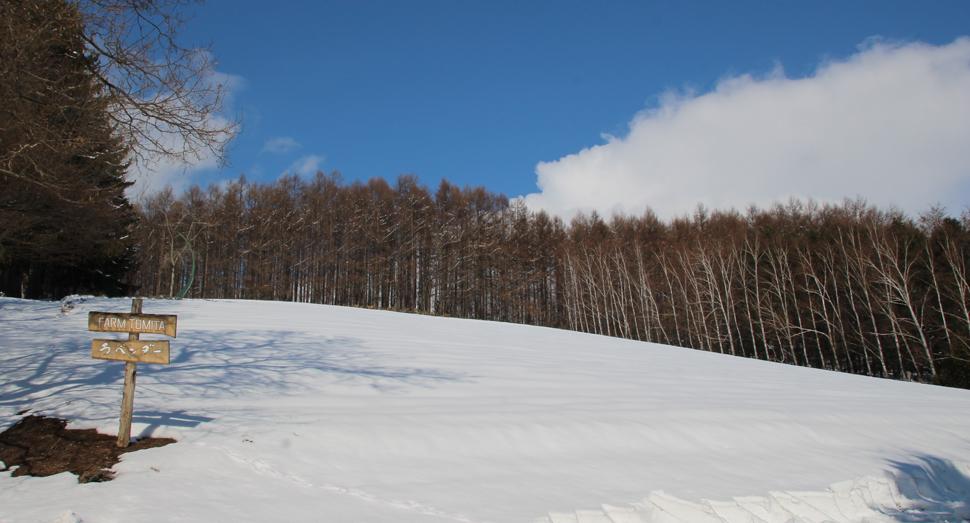 雪解けが進んでいましたが、また積もりました