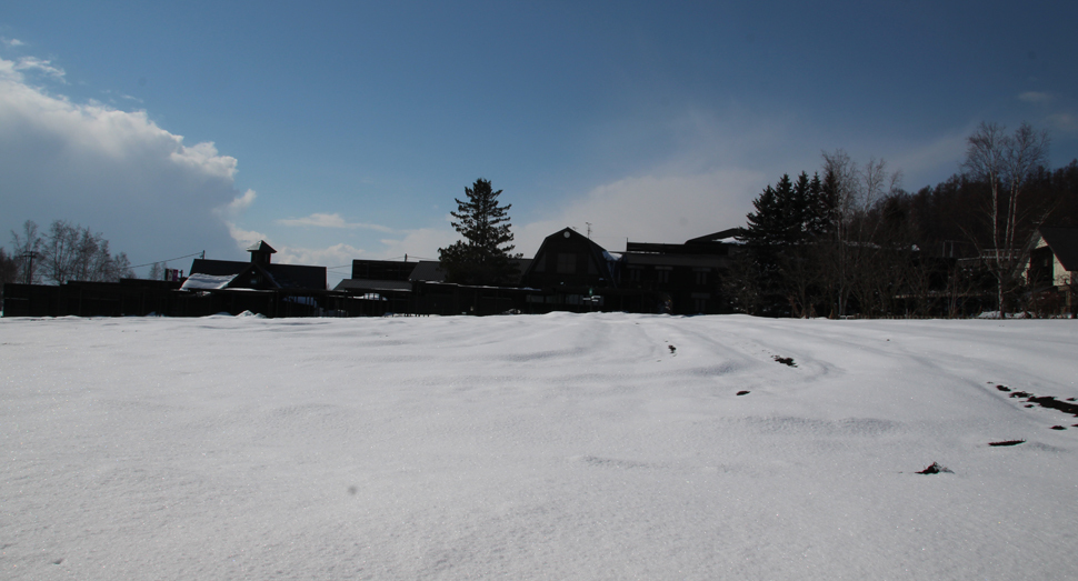 先日融雪剤を撒いた花人の畑も雪に覆われています