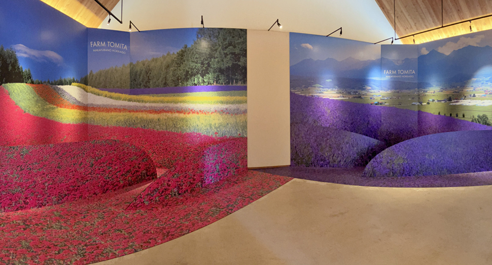 ギャラリーフルールに新しく写真撮影スポットができました！