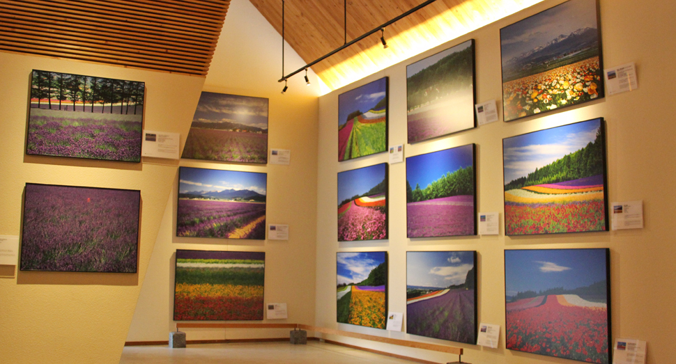 四季の写真も引き続き展示しています(ギャラリーフルール)