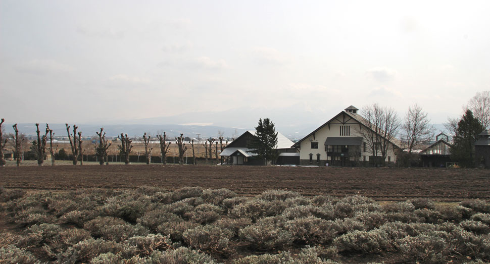 花人の畑はすっかり雪が解けました