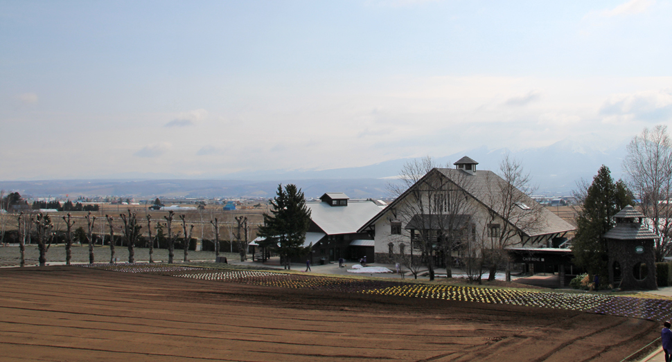 園内の雪はほとんど融けました