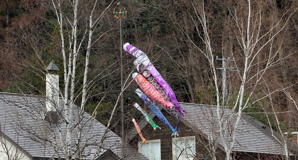 こいのぼりが風に揺れていました