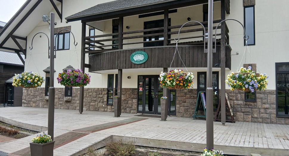 色とりどりの「ハンギング」