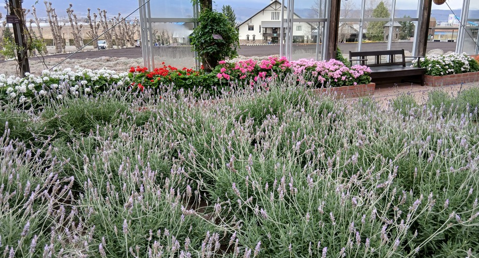 グリーンハウス