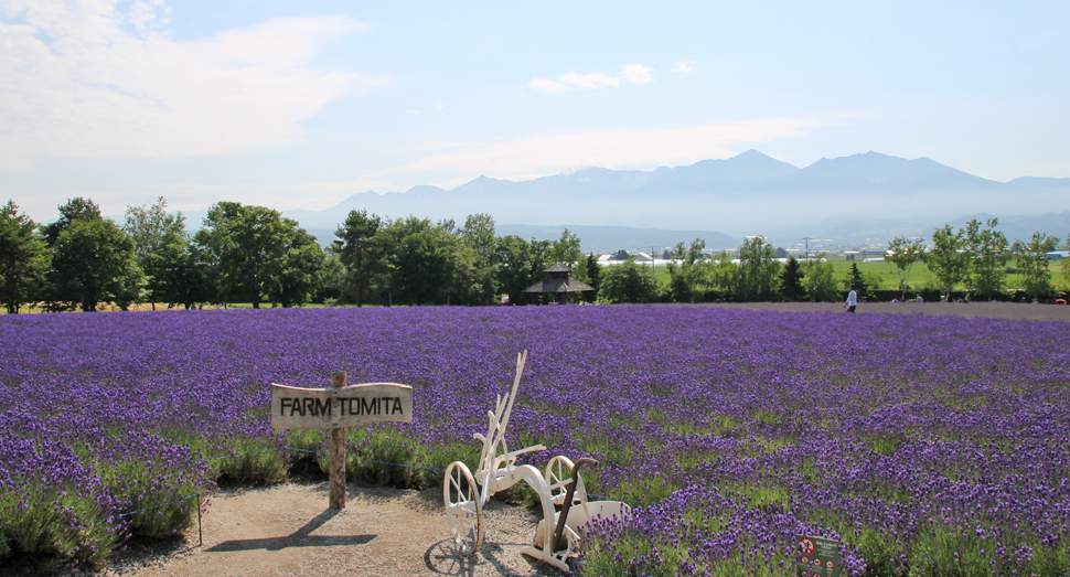 7月になりました