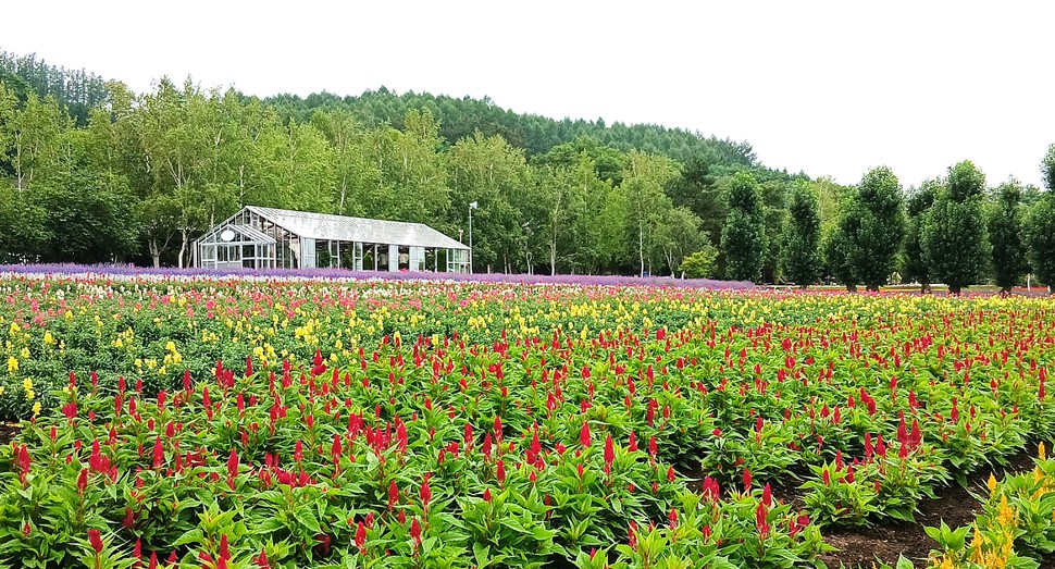 「花人の畑」と「グリーンハウス」
