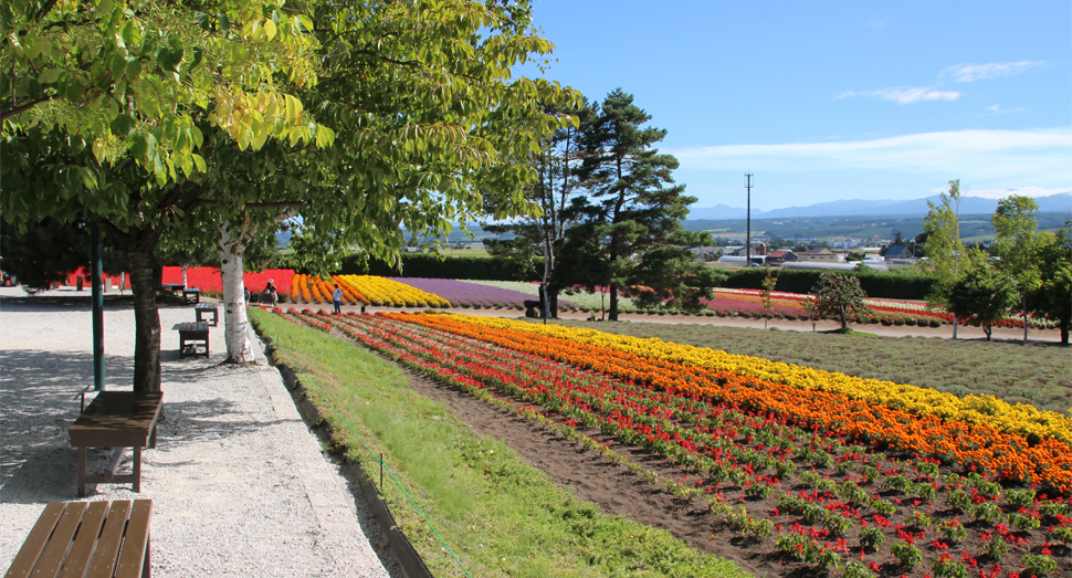 木陰のベンチでゆったり花畑を眺めるのはいかがでしょうか(倖の小路)