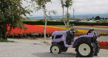 涼しく過ごしやすい朝です