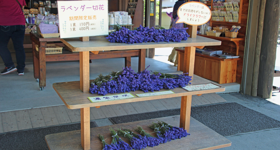 夏のお土産にラベンダーの香りをひとつ