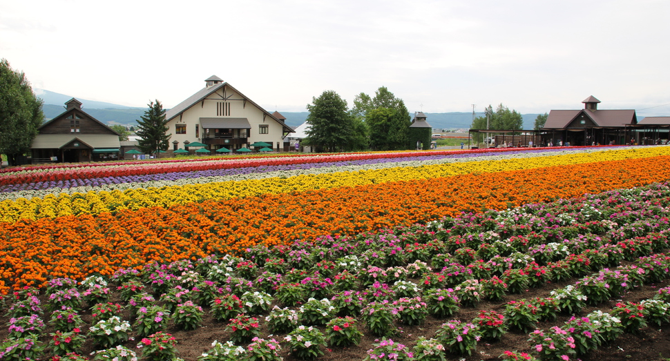 花人の畑と花人の舎