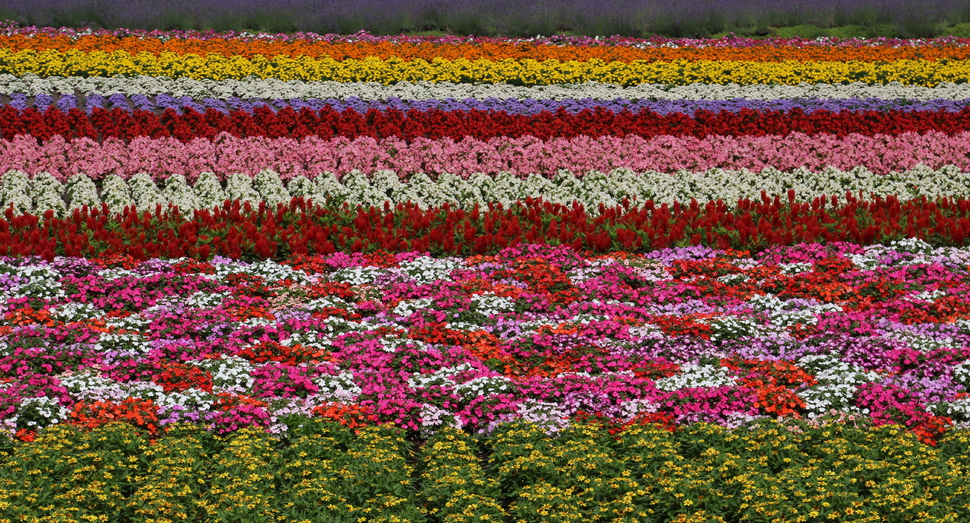 花人の舎２階デッキからの景色です