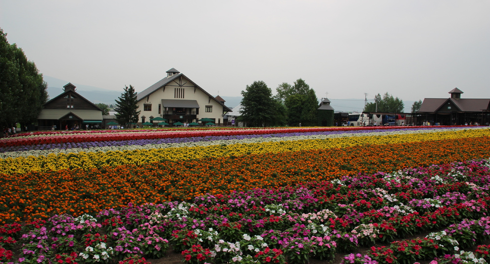 満開の花々が花人をお待ちしております