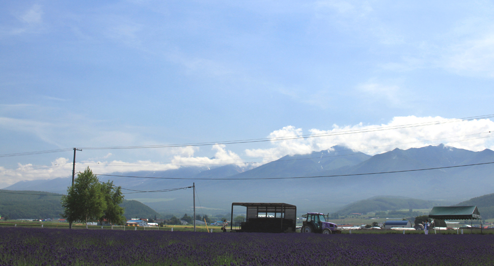 十勝岳連峰とラベンダーバス