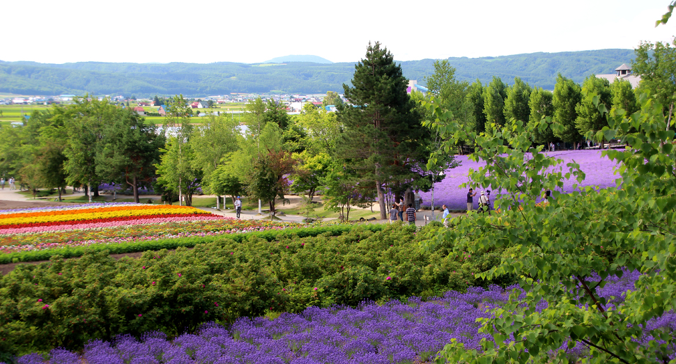 色鮮やかな花々が園内に広がっています