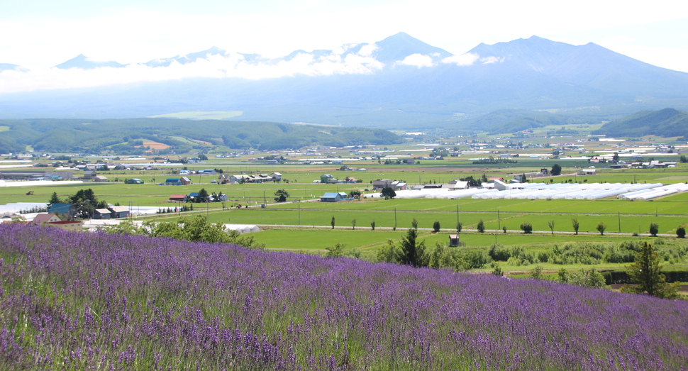 丘の上からは十勝岳連峰もきれいに望めます